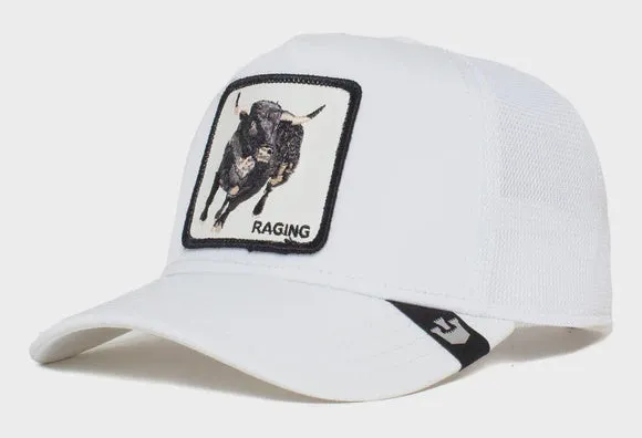 Raging Bull Platinum